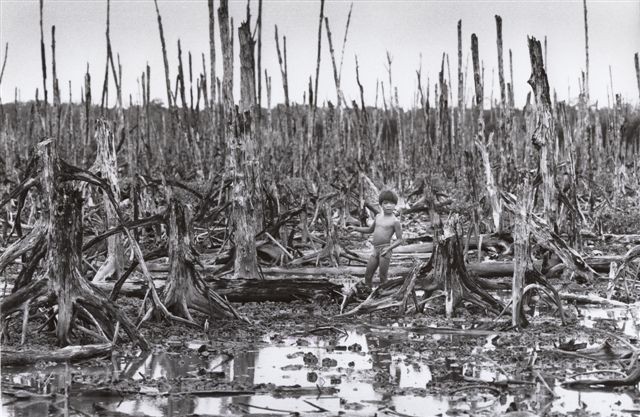 枯葉剤で丸裸になった大地、ベトナム